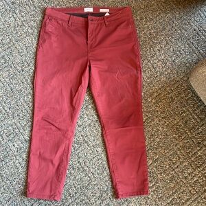 Curve Appeal Jegging